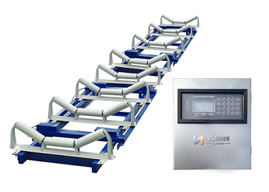 阵列式皮带秤 阵列式皮带秤的图片